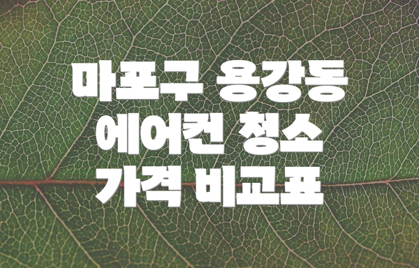 마포구 용강동 에어컨 청소 업체 추천 및 선택 방법