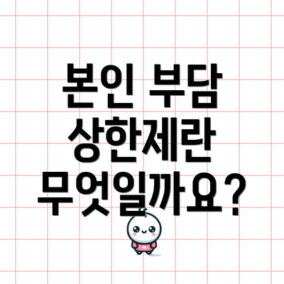 본인 부담 상한제란 무엇일까요?