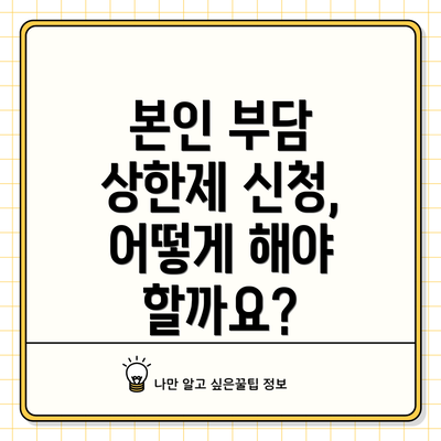 본인 부담 상한제 신청, 어떻게 해야 할까요?