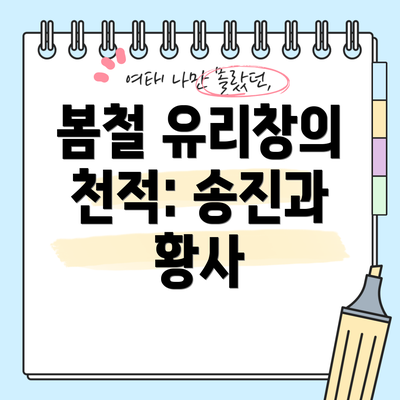 봄철 유리창의 천적: 송진과 황사