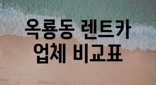옥룡동 렌트카 업체 비교표
