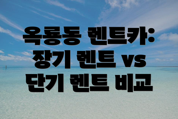 옥룡동 렌트카: 장기 렌트 vs 단기 렌트 비교