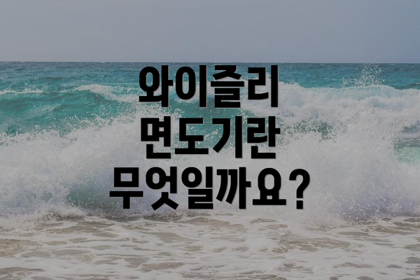 와이즐리 면도기란 무엇일까요?