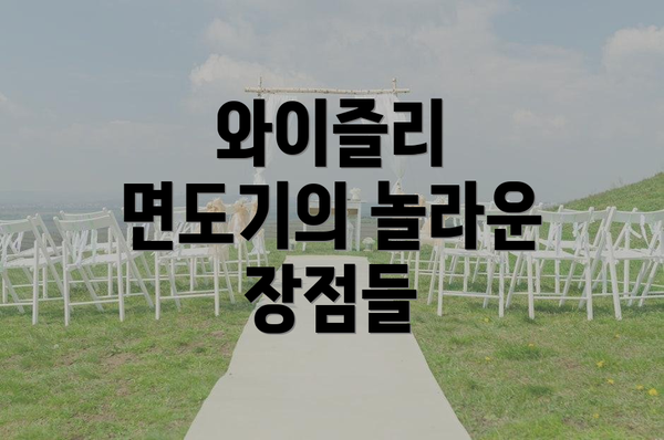 와이즐리 면도기의 놀라운 장점들