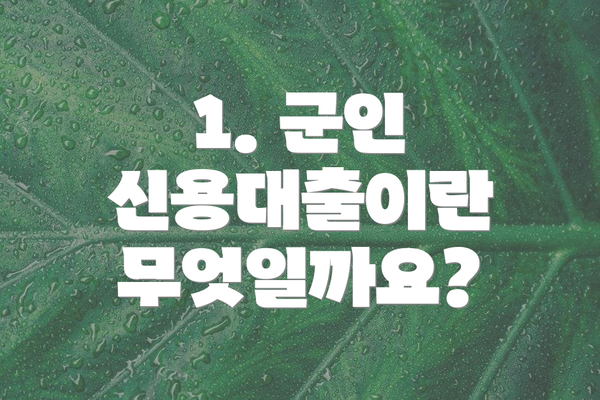 1. 군인 신용대출이란 무엇일까요?