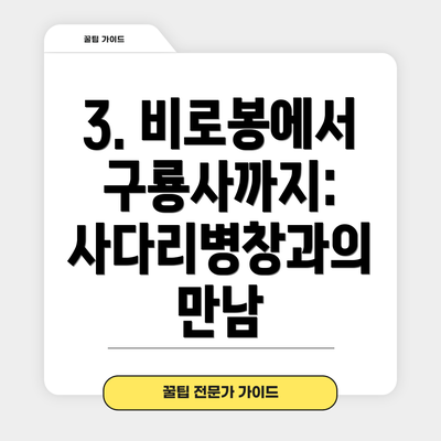 3. 비로봉에서 구룡사까지: 사다리병창과의 만남