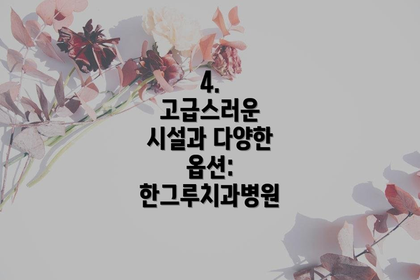4.  고급스러운 시설과 다양한 옵션: 한그루치과병원