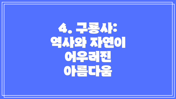 4. 구룡사: 역사와 자연이 어우러진 아름다움
