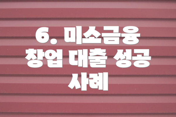 6. 미소금융 창업 대출 성공 사례