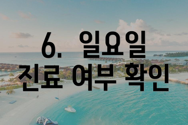 6.  일요일 진료 여부 확인