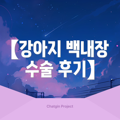 【강아지 백내장 수술 후기】
