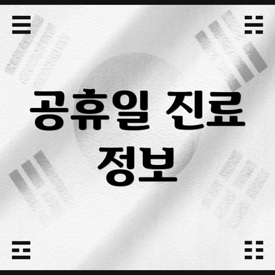 공휴일 진료 정보