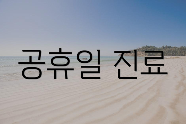 공휴일 진료