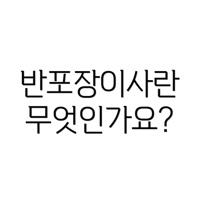 반포장이사란 무엇인가요?