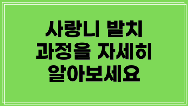 사랑니 발치 과정을 자세히 알아보세요
