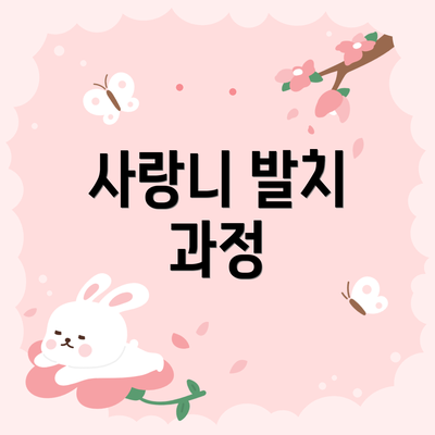 사랑니 발치 과정
