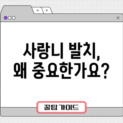 사랑니 발치, 왜 중요한가요?