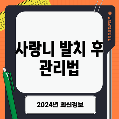 사랑니 발치 후 관리법