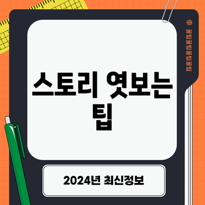 스토리 엿보는 팁