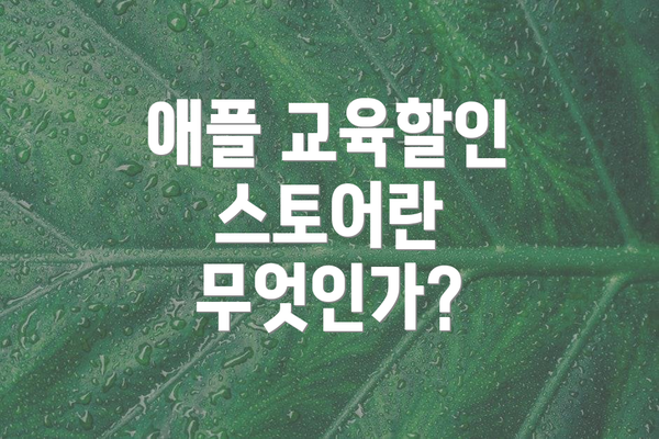 애플 교육할인 스토어란 무엇인가?