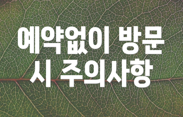 예약없이 방문 시 주의사항
