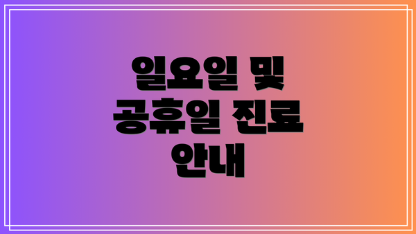 일요일 및 공휴일 진료 안내