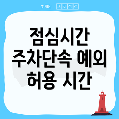 점심시간 주차단속 예외 허용 시간