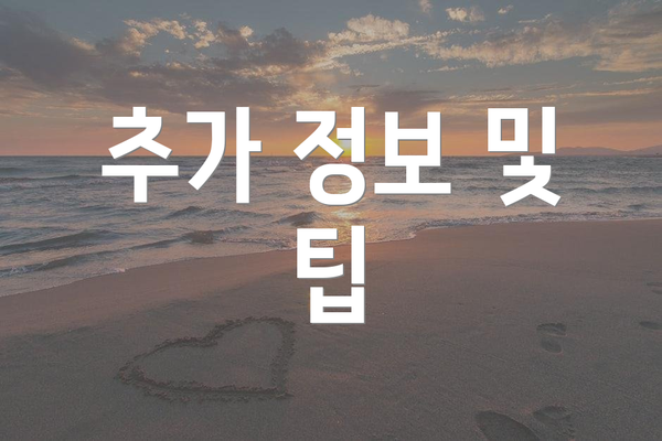 추가 정보 및 팁