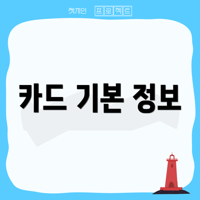카드 기본 정보