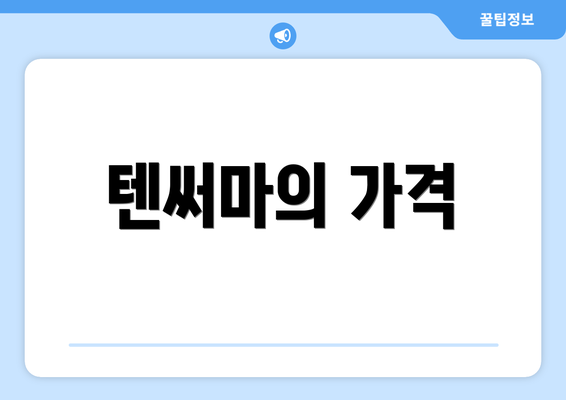 텐써마의 가격