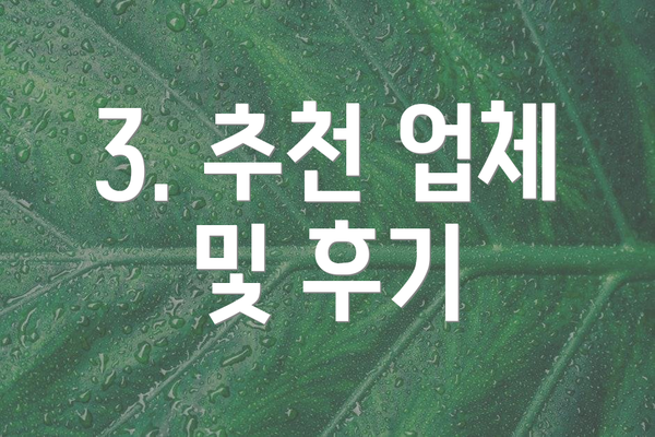 3. 추천 업체 및 후기