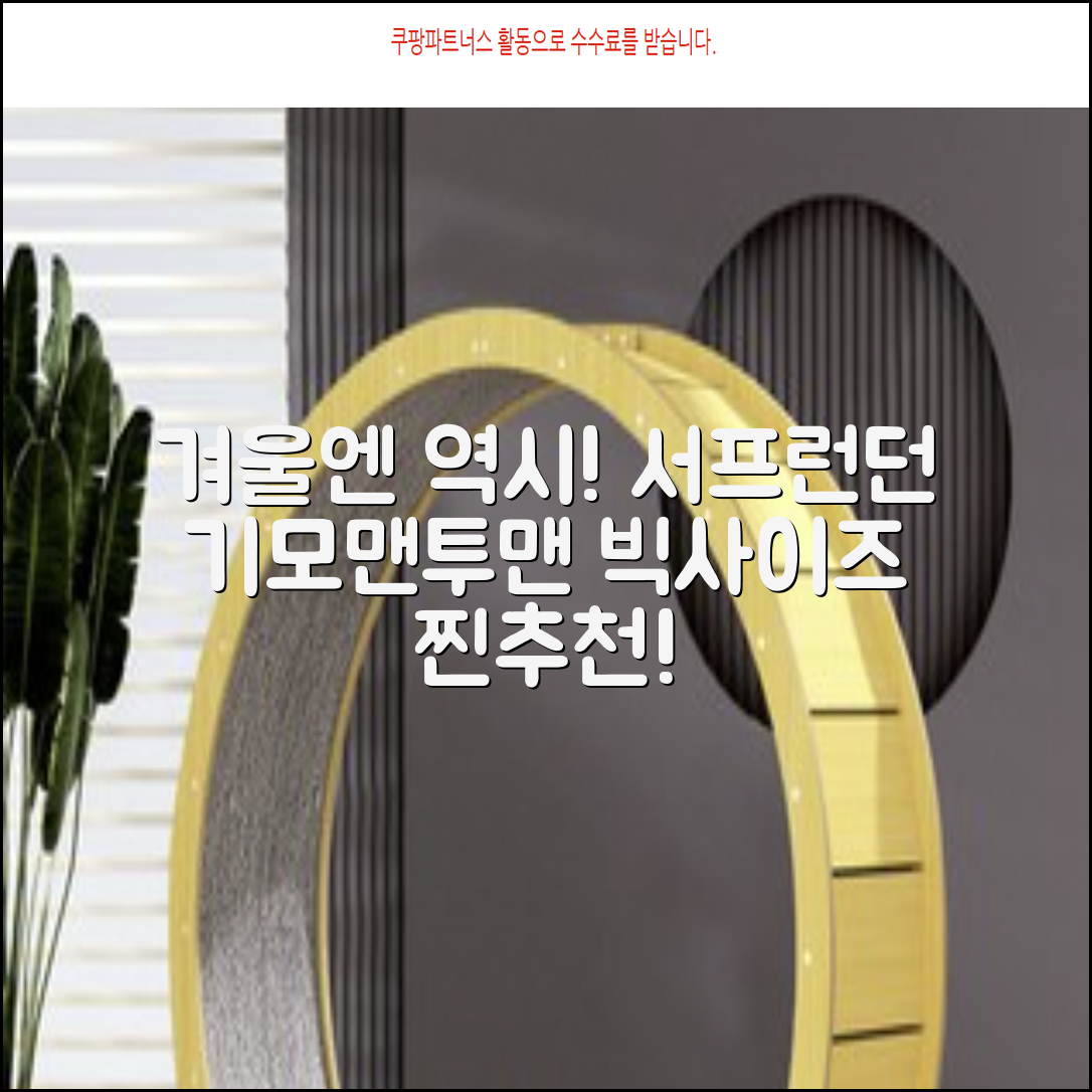 서프런던 문더베어 오버핏 빅사이즈 기모 맨투맨 ZAMD_0012 추천 리뷰