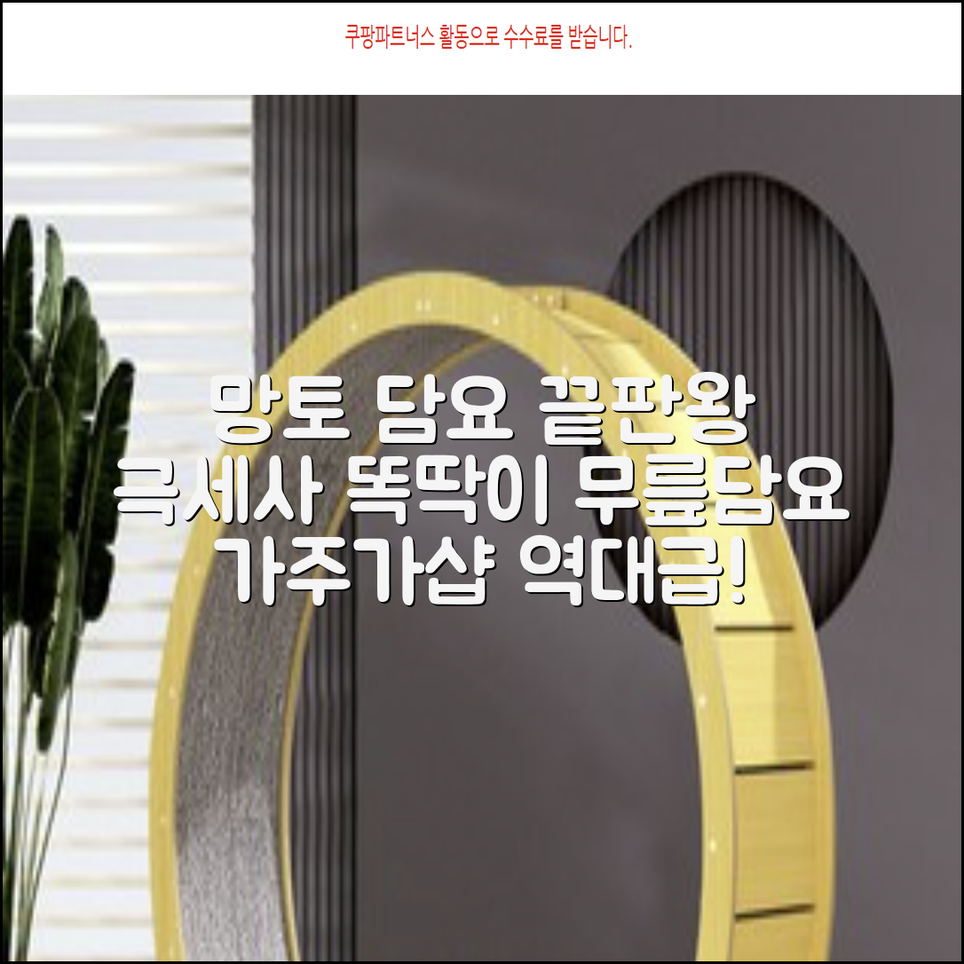 가주가샵 망토처럼 입을 수 있는 똑딱이 극세사 대형 무릎담요 추천 리뷰