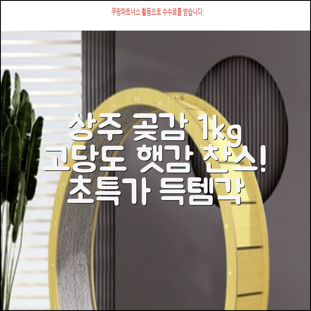 상주 곶감 초특가 1kg 고당도 햇감, 1개 추천 리뷰