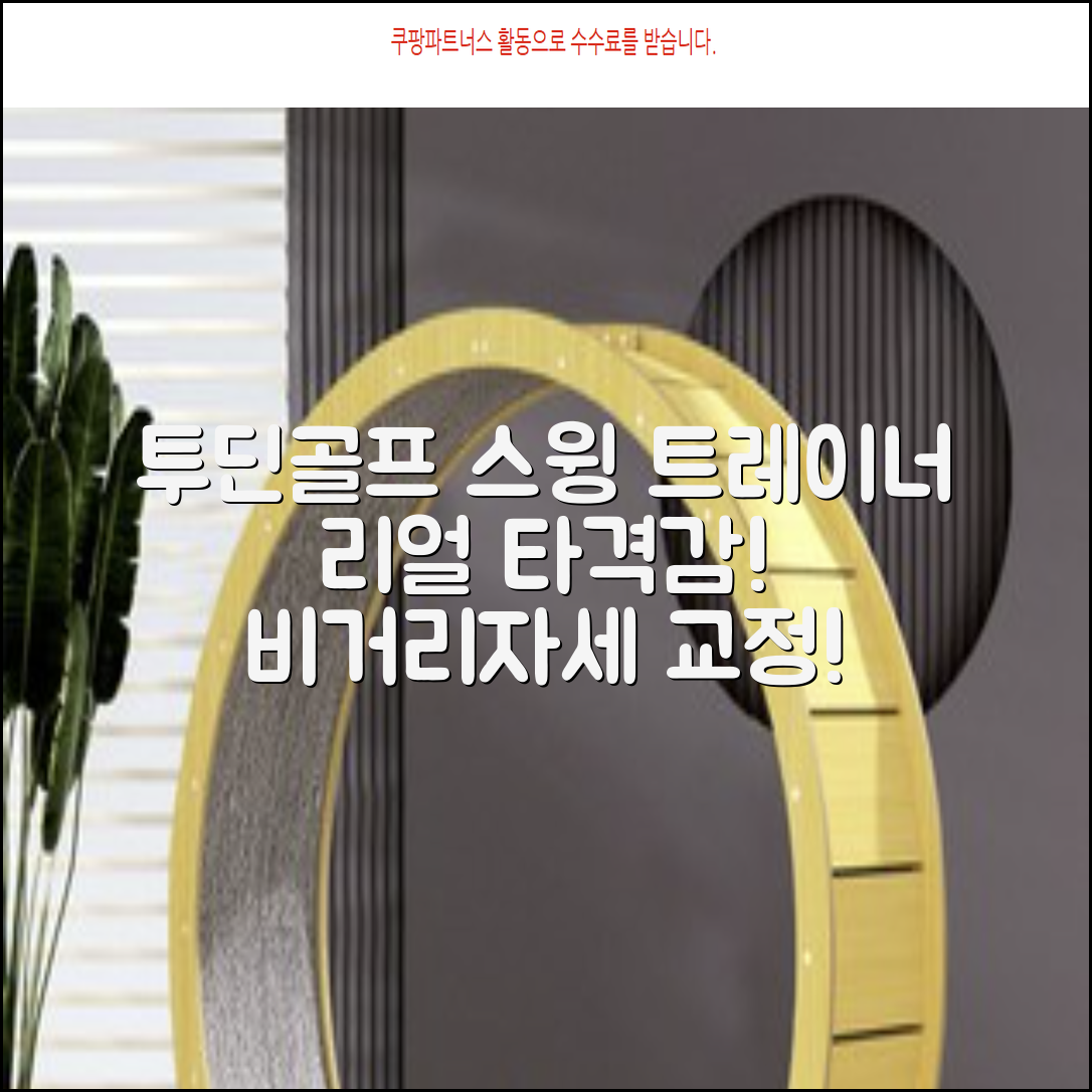 투딘골프 리얼타격감 퍼팩트 스윙트레이너 비거리향상 자세교정 스윙연습기, 블랙 교정그립, 1개 추천 리뷰