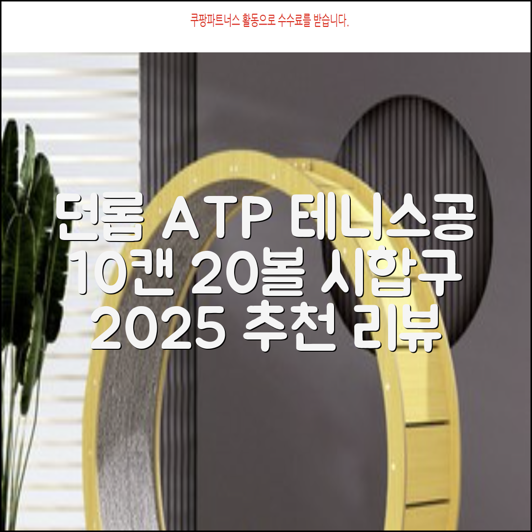2025 던롭 ATP 테니스공 10캔 (20볼) 시합구, 던롭 ATP볼 10캔 (20볼), 10세트 추천 리뷰