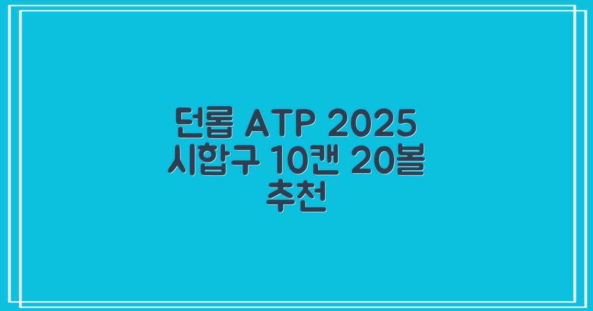 2025 던롭 ATP 테니스공 10캔 (20볼) 시합구, 던롭 ATP볼 10캔 (20볼), 10세트 추천 리뷰
