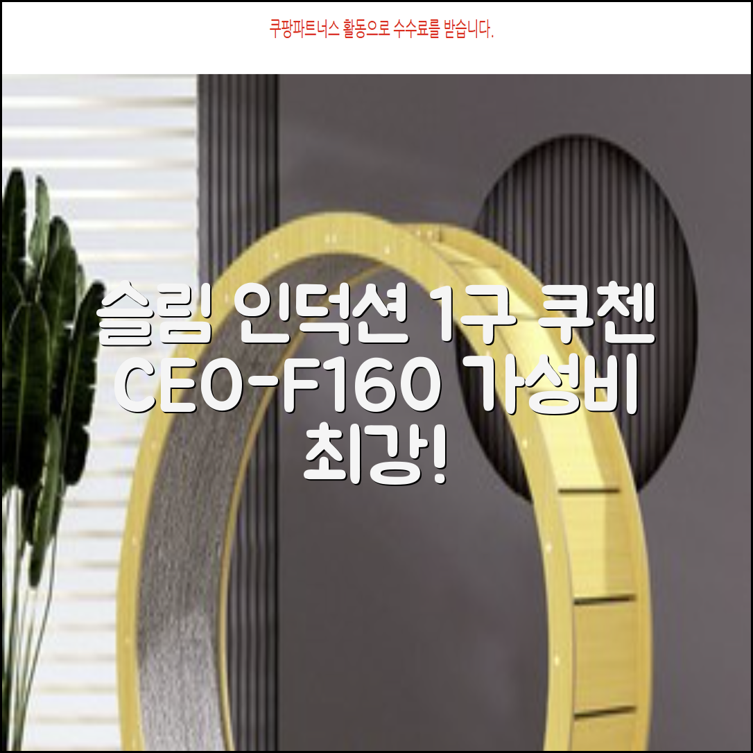 쿠첸 슬림 인덕션 1구, CEO-F160, 일반형 추천 리뷰