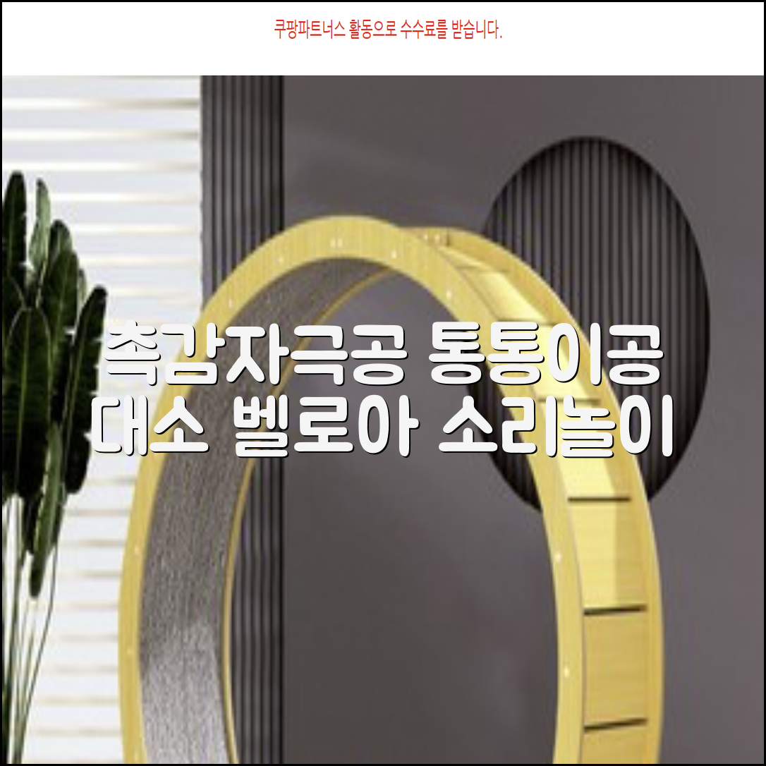 청양 통통이공大/小 소리나는 촉감자극공 벨로아 소재, 통통이공-대, 1개 추천 리뷰
