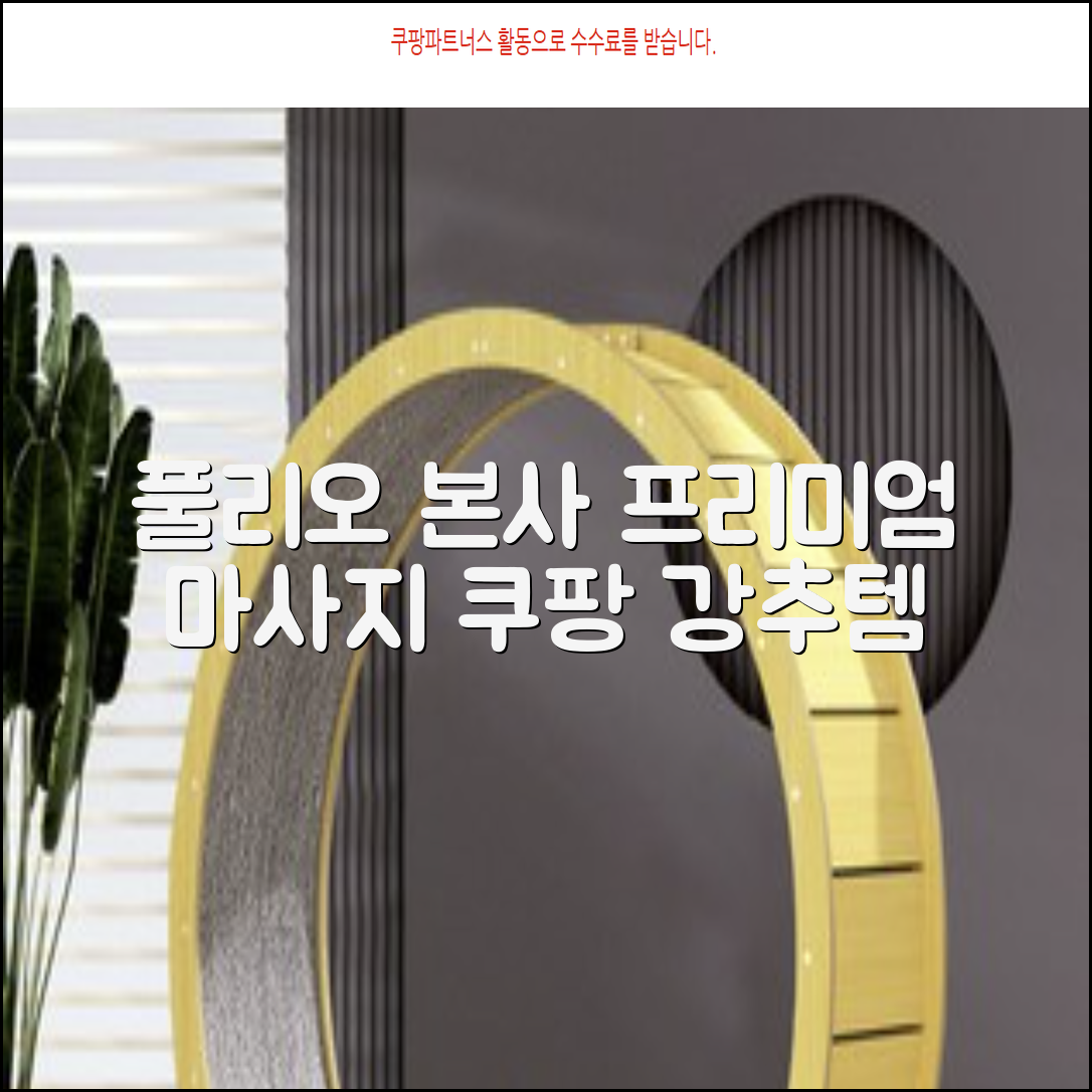 [풀리오 본사] 풀리오 프리미엄 마사지 매트 추천 리뷰
