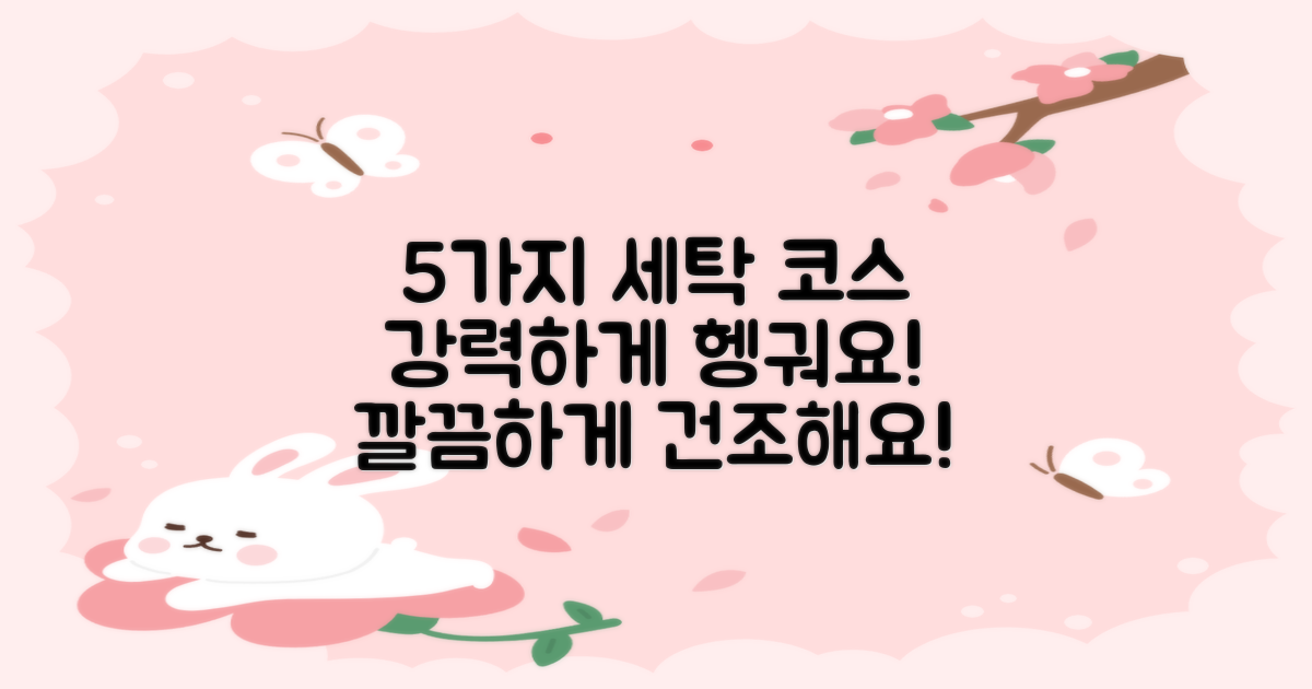 5가지 강력한 세탁 코스