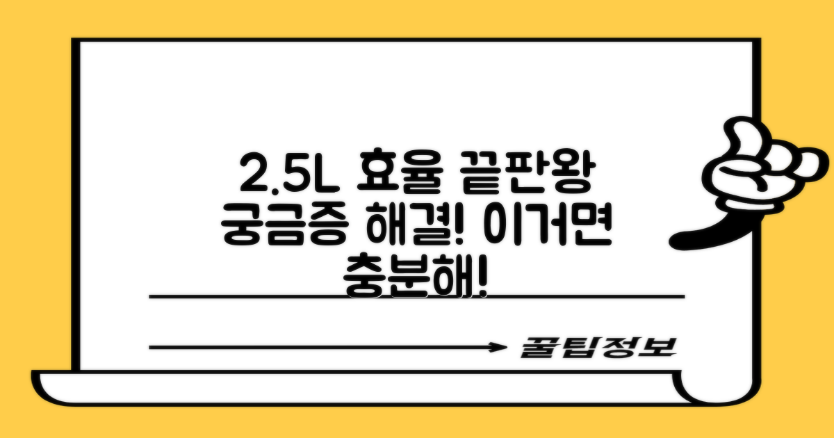 2.5L 용량, 얼마나 효율적일까요?