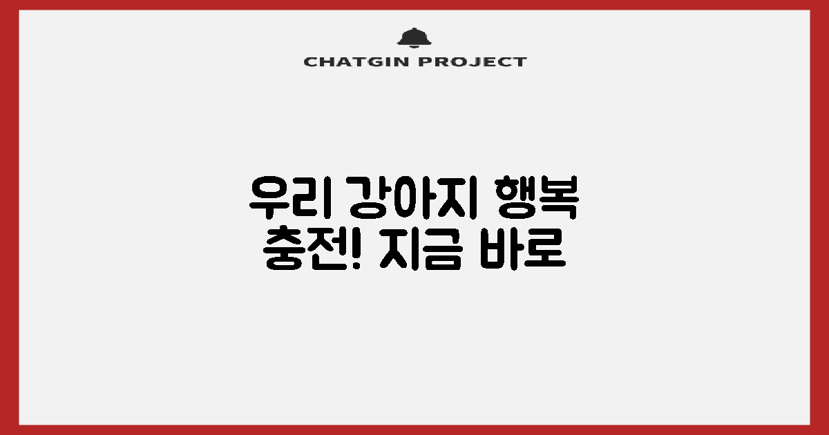 우리 강아지를 기쁘게 해주세요!
