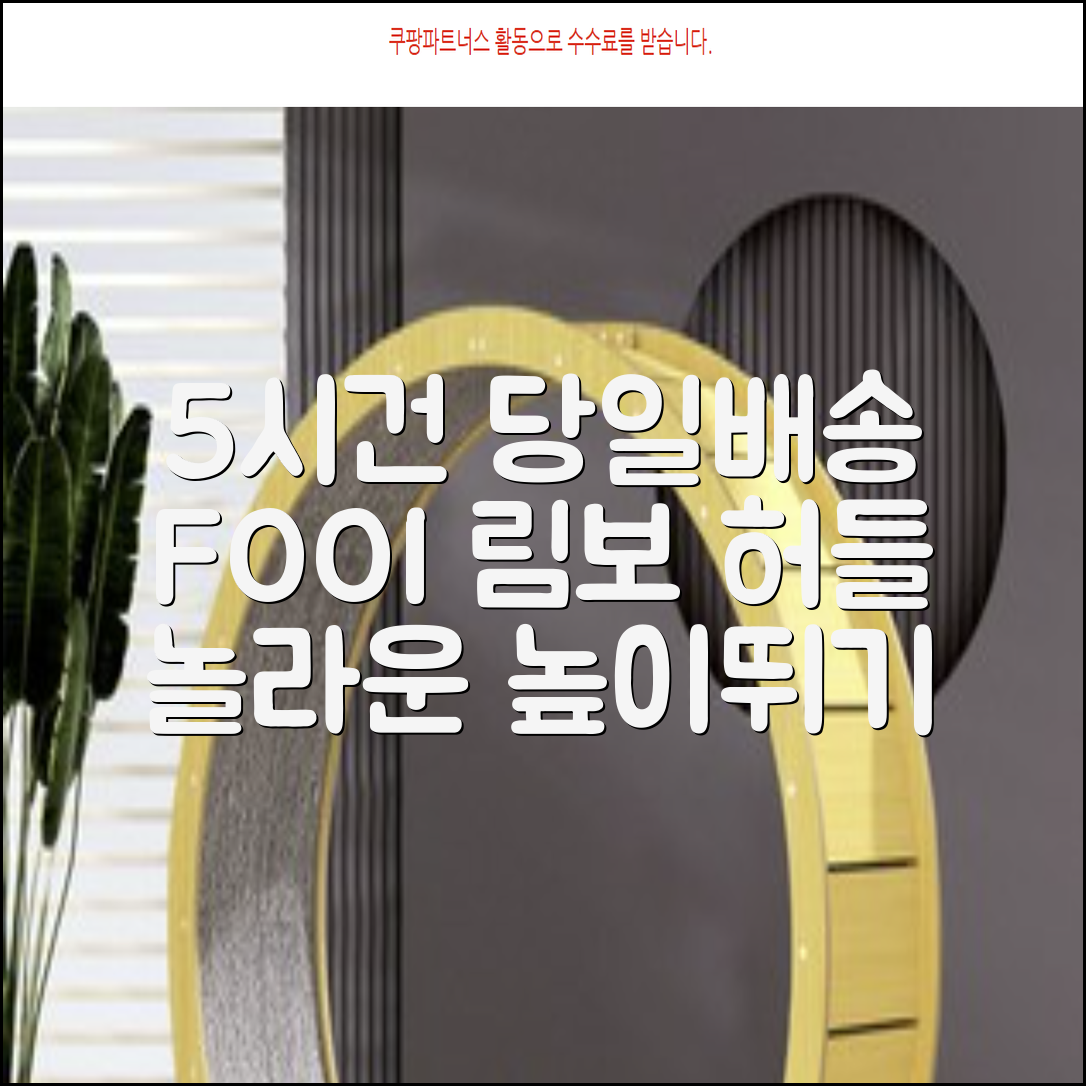 5시건 당일배송 FOOI 휴대용 자유조절 림보 허들 높이뛰기 세트 2종 빠른배송, 1개 추천 리뷰