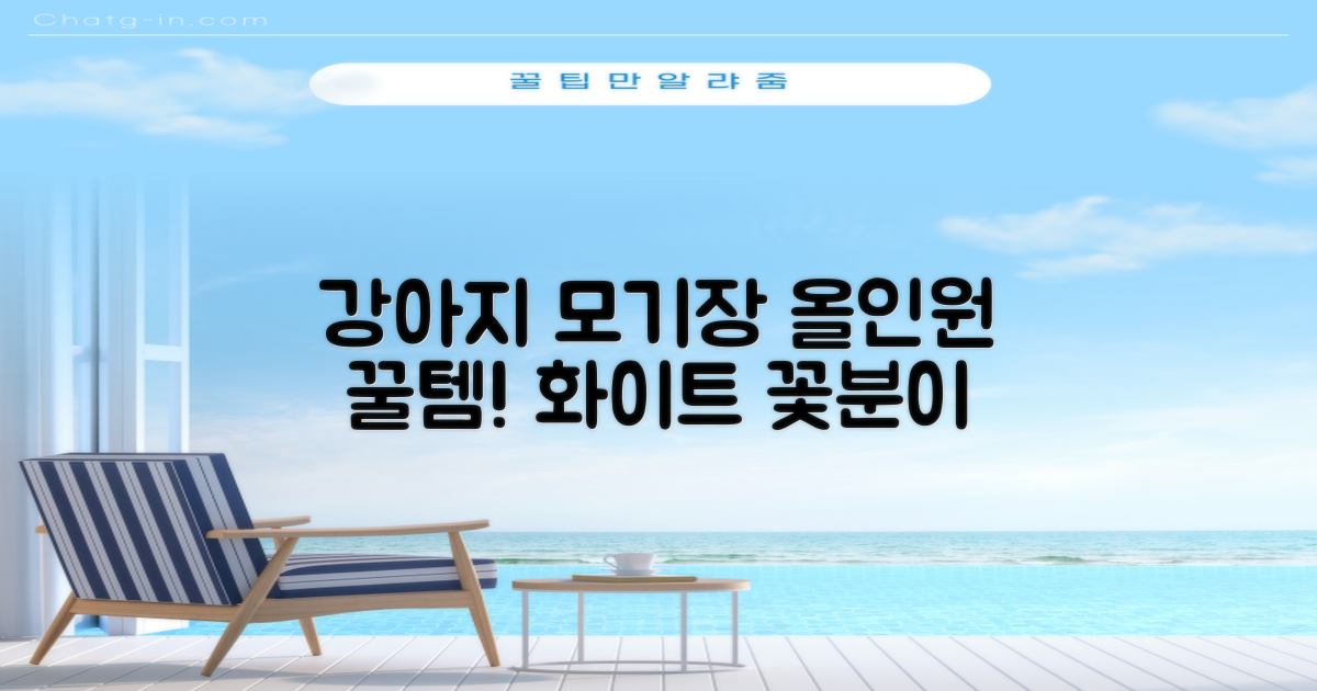 바이굄 강아지 해충 모기장 꽃분이 망사 올인원, 화이트, 1개 추천 리뷰