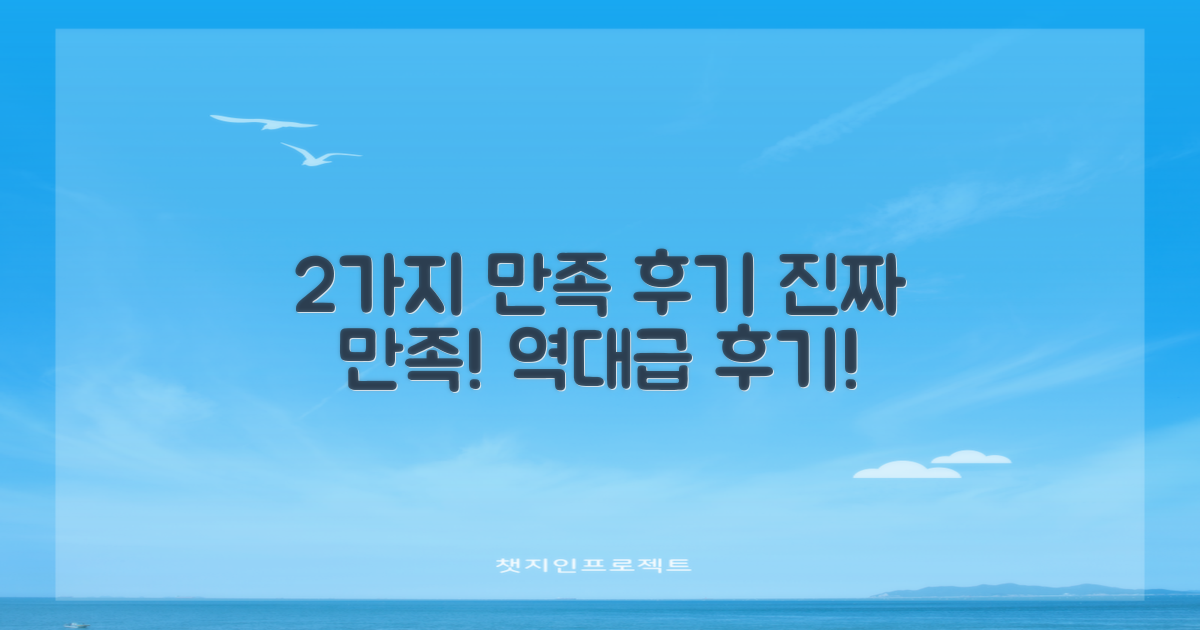2가지 만족 후기