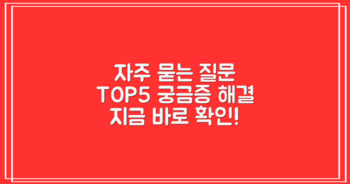 자주 묻는 질문