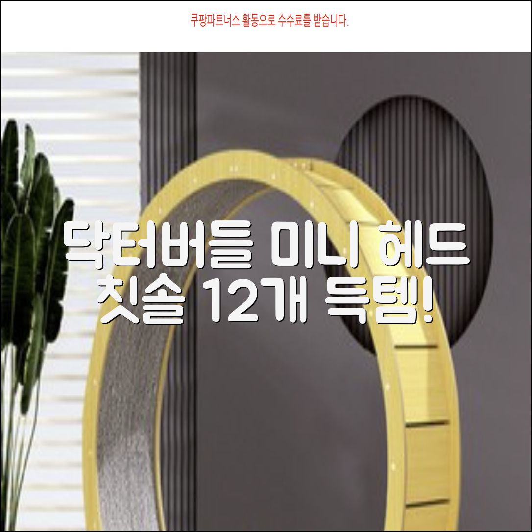 닥터버들 미니헤드 칫솔 세트, 12개입, 1개 추천 리뷰