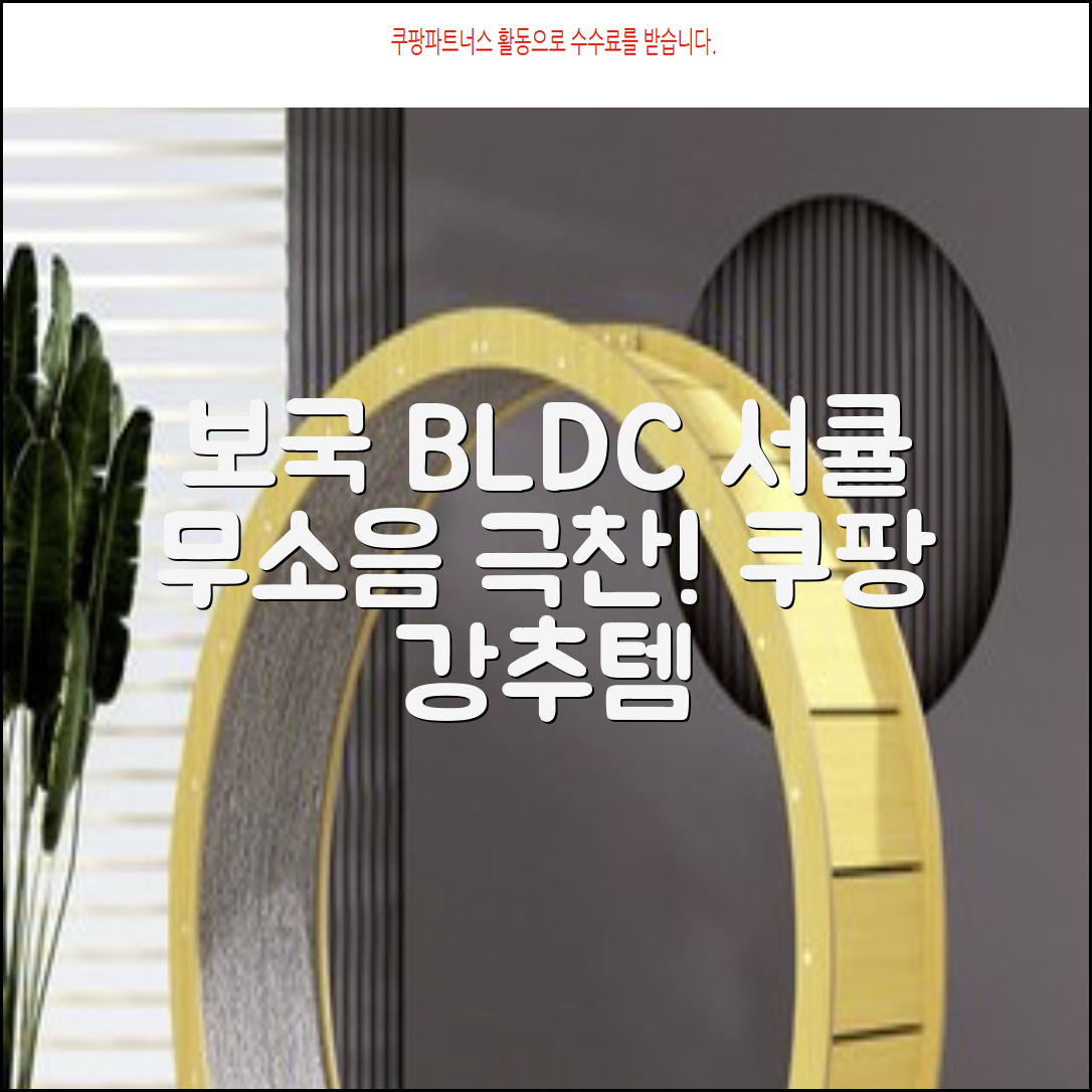 보국 스마트 BLDC 무소음 서큘레이터 추천 리뷰