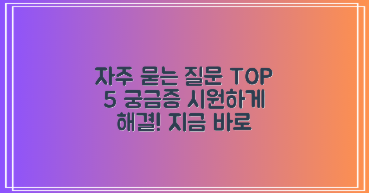자주 묻는 질문